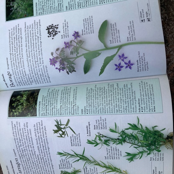 Reader's Digest Herb Reference Hardcover Book - Picture 3 of 11